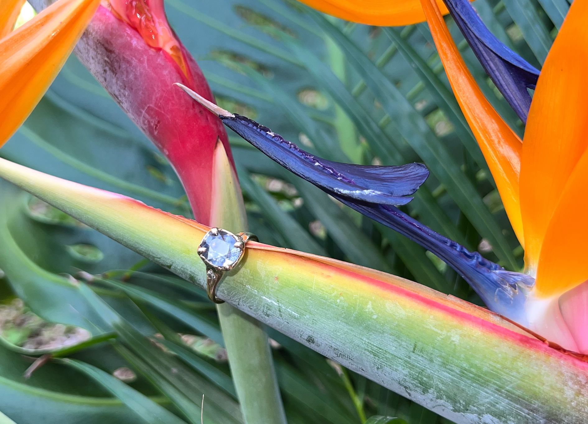 El Dorado Shift Ring