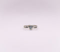 The Perihelion Ring