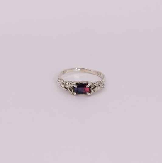The Last Light Ring