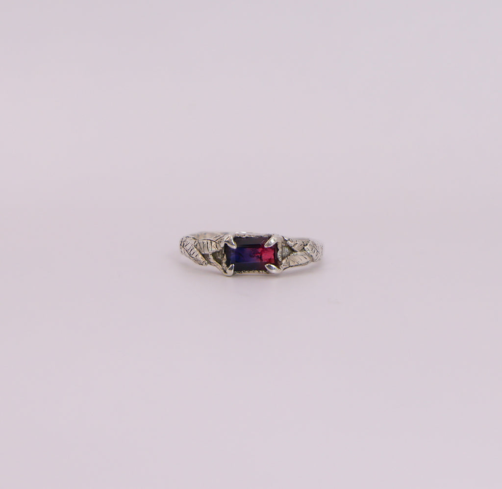 The Last Light Ring