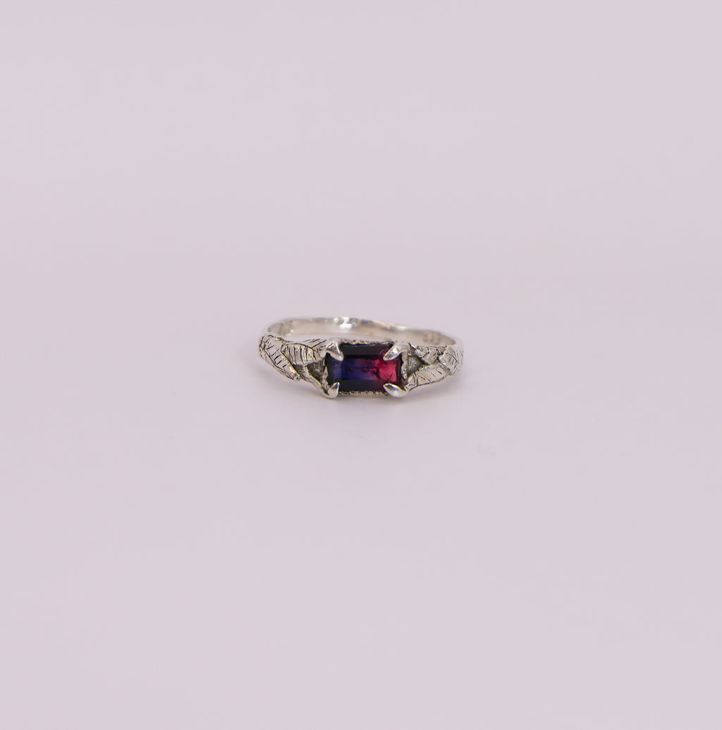 The Last Light Ring