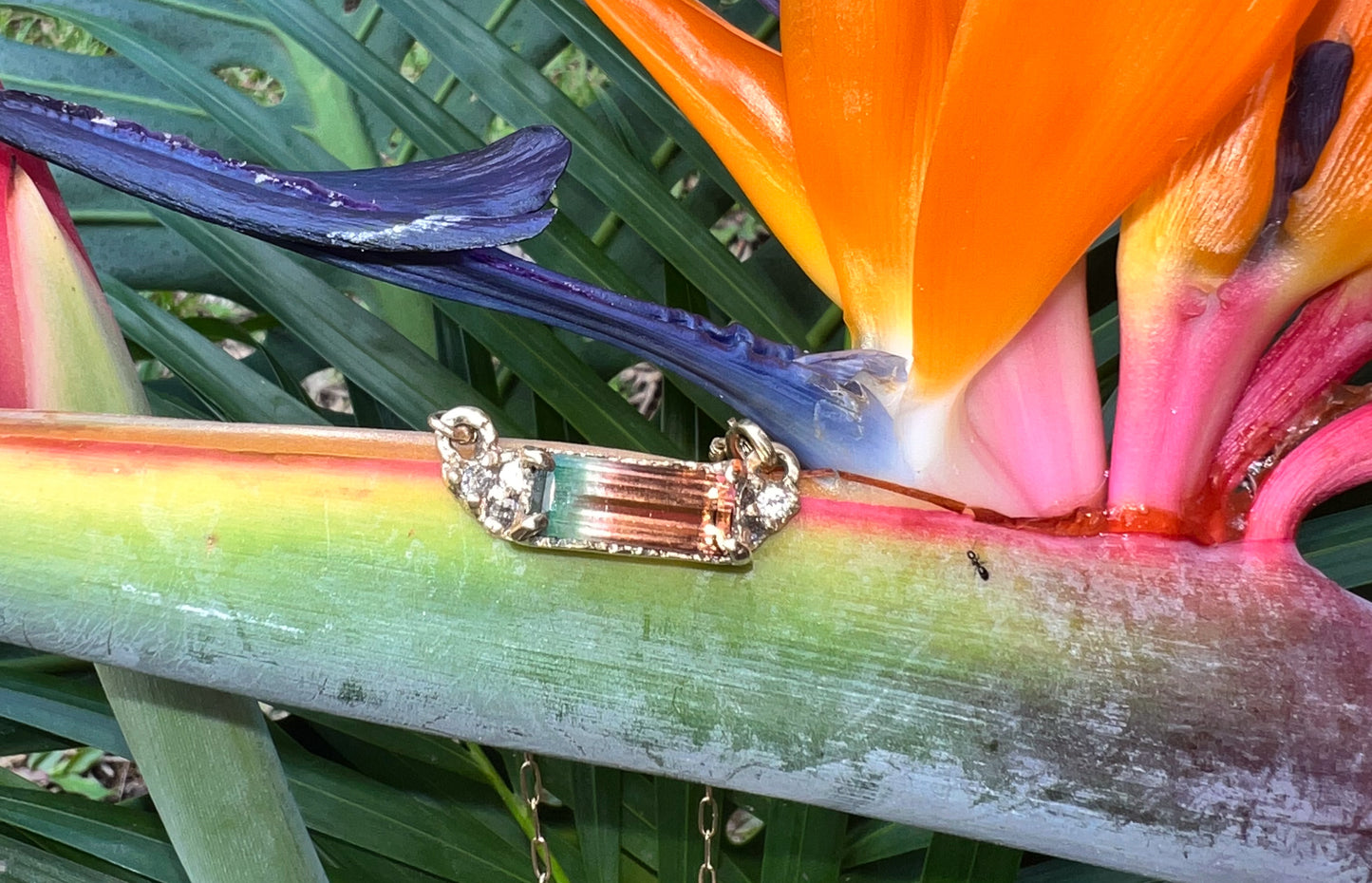 Sweetwater Necklace