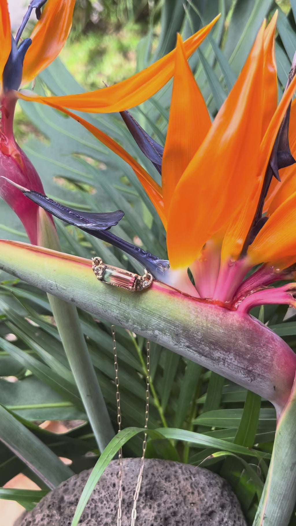 Sweetwater Necklace
